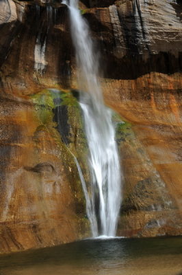 DSC_2377_resize.jpg