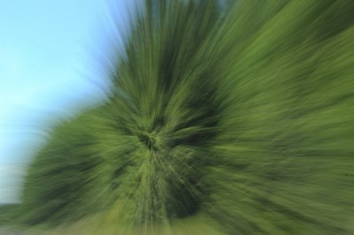 DSC_5096_resize.JPG
