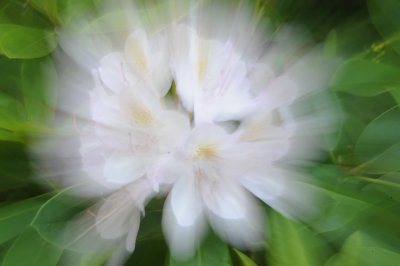 DSC_5113_resize.JPG