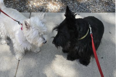 _DSC0008_resize.JPG