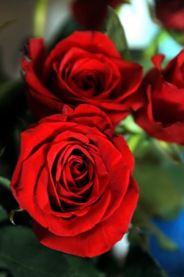 DSC_1283_resize.jpg