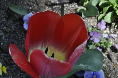 _DSC0173_resize.jpg