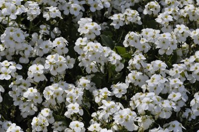 _DSC0217_resize.jpg