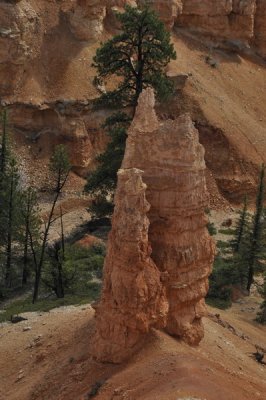 _DSC0537_resize.JPG
