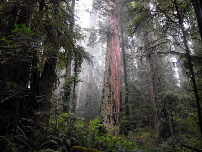 DSCF0452_resize.jpg