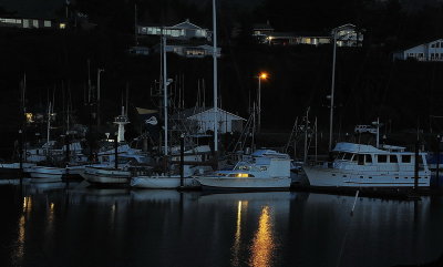 DSC_9998_resize.jpg