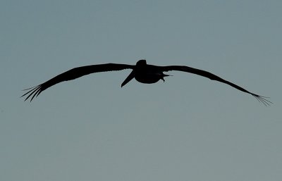 DSC_5604_resize.jpg
