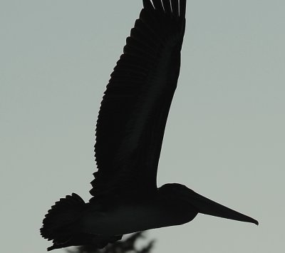 DSC_5607_resize.jpg