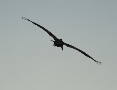 DSC_5618_resize.jpg