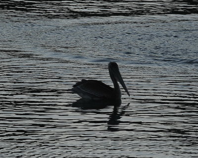 DSC_5622_resize.jpg