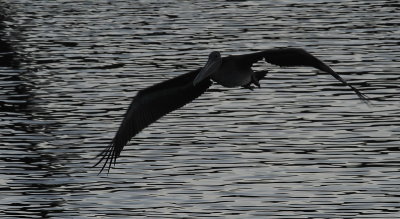 DSC_5636_resize.jpg