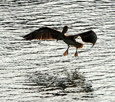 DSC_6465_resize.jpg