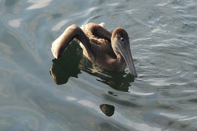 DSC_6472_resize.jpg