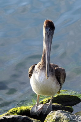 DSC_6476_resize.jpg