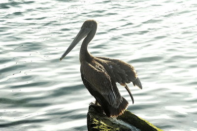 DSC_6483_resize.jpg