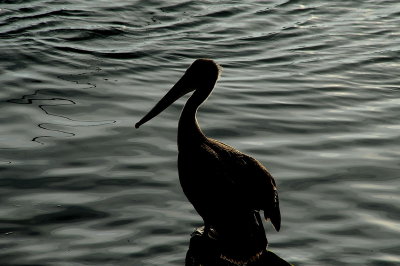 DSC_6490_resize.jpg