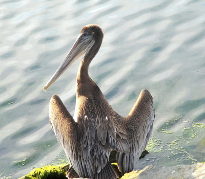 DSC_6501_resize.jpg