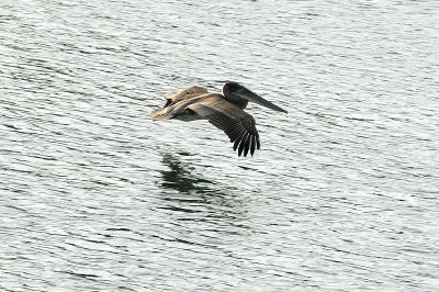 DSC_6509_resize.jpg