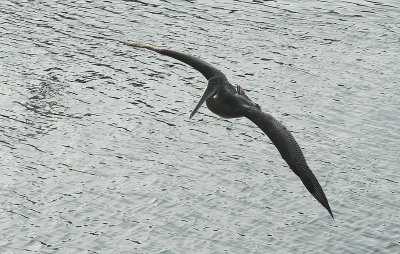 DSC_6519_resize.jpg