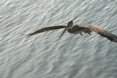 DSC_6520_resize.jpg