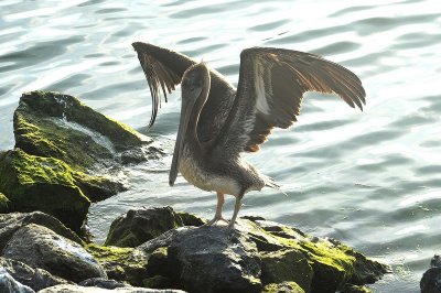 DSC_6525_resize.jpg