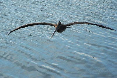 DSC_6528_resize.jpg