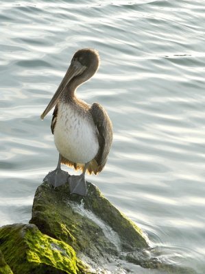 DSC_6533_resize.jpg