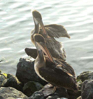 DSC_6535_resize.jpg