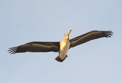 DSC_6541_resize.jpg