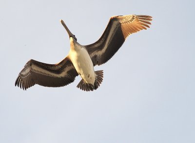 DSC_6542_resize.jpg