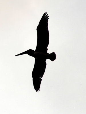 DSC_6558_resize.jpg