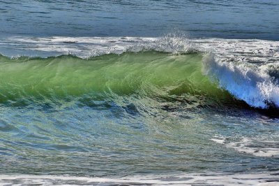 DSC_1208b_resize.jpg