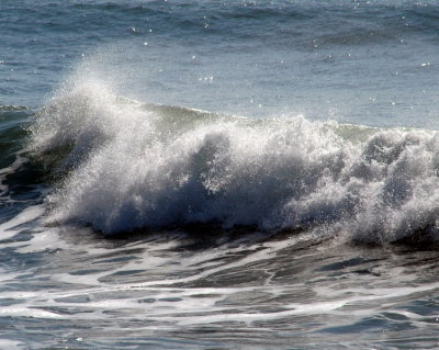 DSC_1217_resize.jpg