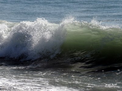 DSC_1222_resize.jpg