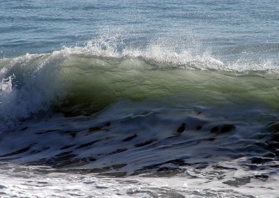 DSC_1223_resize.jpg