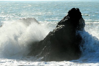 DSC_0406ab_resize.jpg