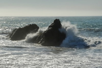 DSC_0418ab_resize.jpg