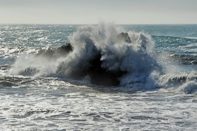 DSC_0422bcd_resize.jpg