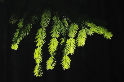DSC_1418B_resize.jpg