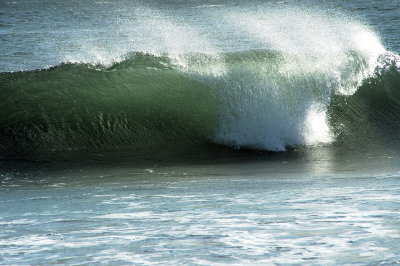 DSC_4643_resize.jpg