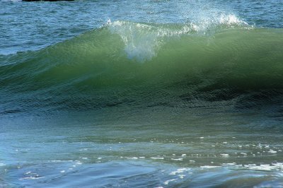 DSC_4647_resize.jpg