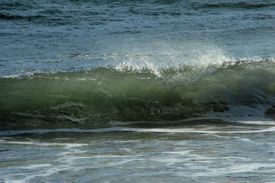 DSC_4651_resize.jpg