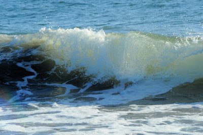 DSC_4653_resize.jpg