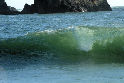 DSC_4654B_resize.jpg