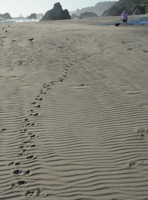 DSC_4655_resize.jpg