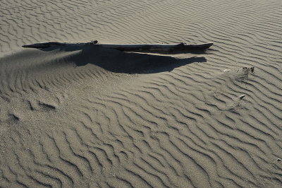 DSC_4657_resize.jpg