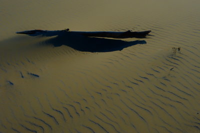 DSC_4657-HDR_resize.jpg