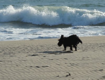 DSC_4658_resize.jpg