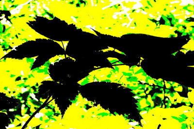 Trip_08.jpg