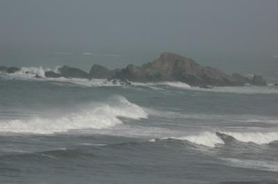 DSC_0180_resize.JPG